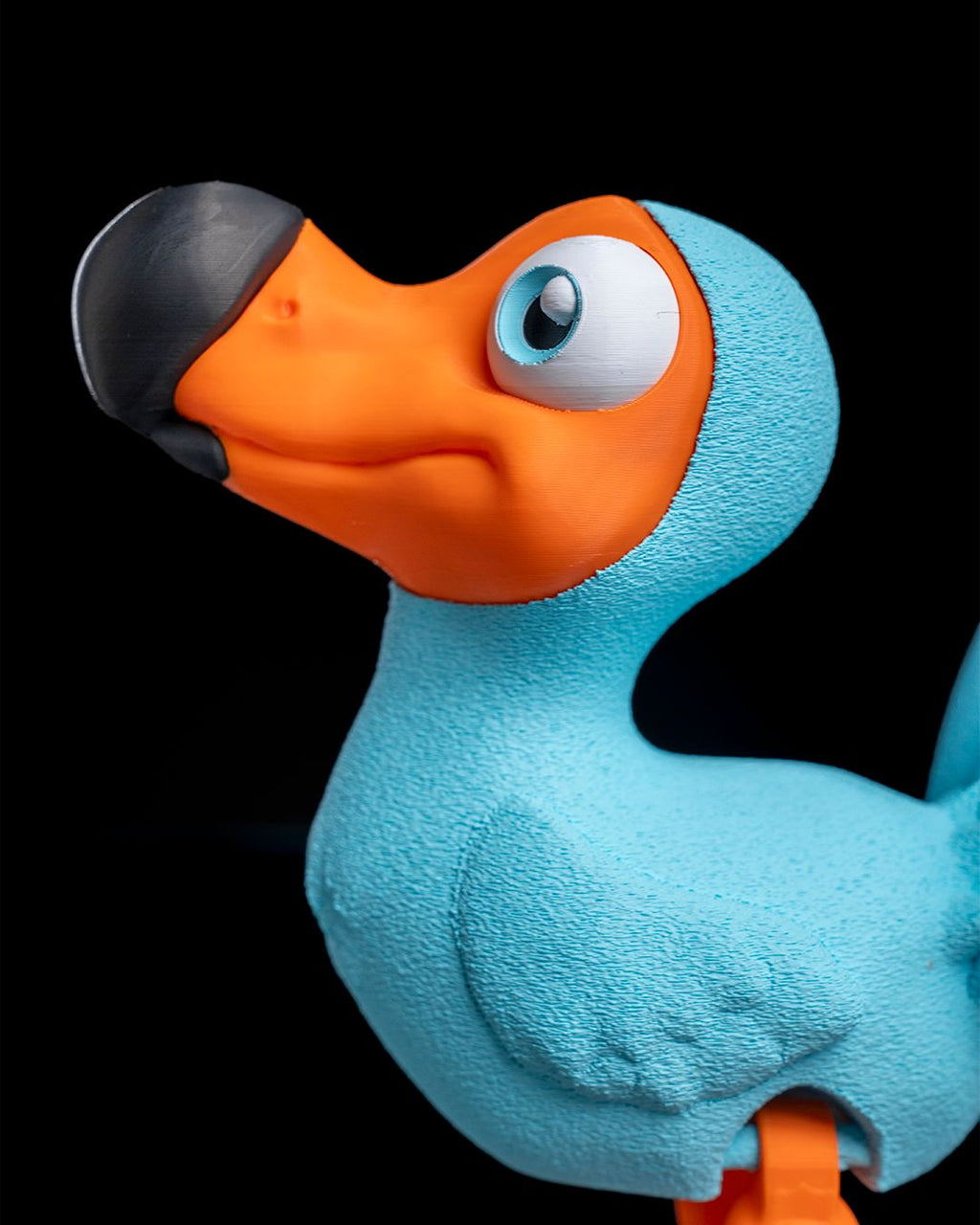Articulated Dodo colorful 3D printed bird toy in turquoise and orange by 3DPRINTSWA for fidgeting and collectible display