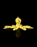 Octonana