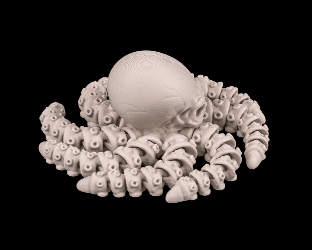 Skeleton Octopus