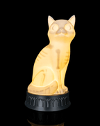 Three-quarter front view of the illuminated X-Ray Cat lamp revealing its hidden skeleton on a dark decorative base