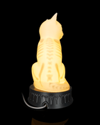 Rear view of the illuminated X-Ray Cat lamp showing its spine, ribs, and power cable