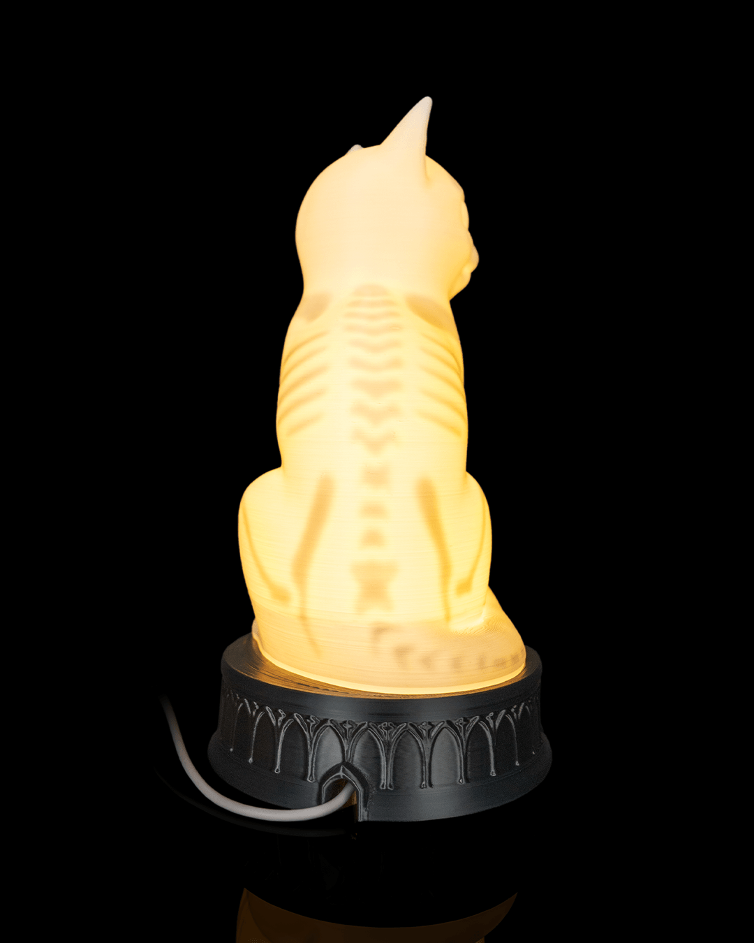 Rear view of the illuminated X-Ray Cat lamp showing its spine, ribs, and power cable