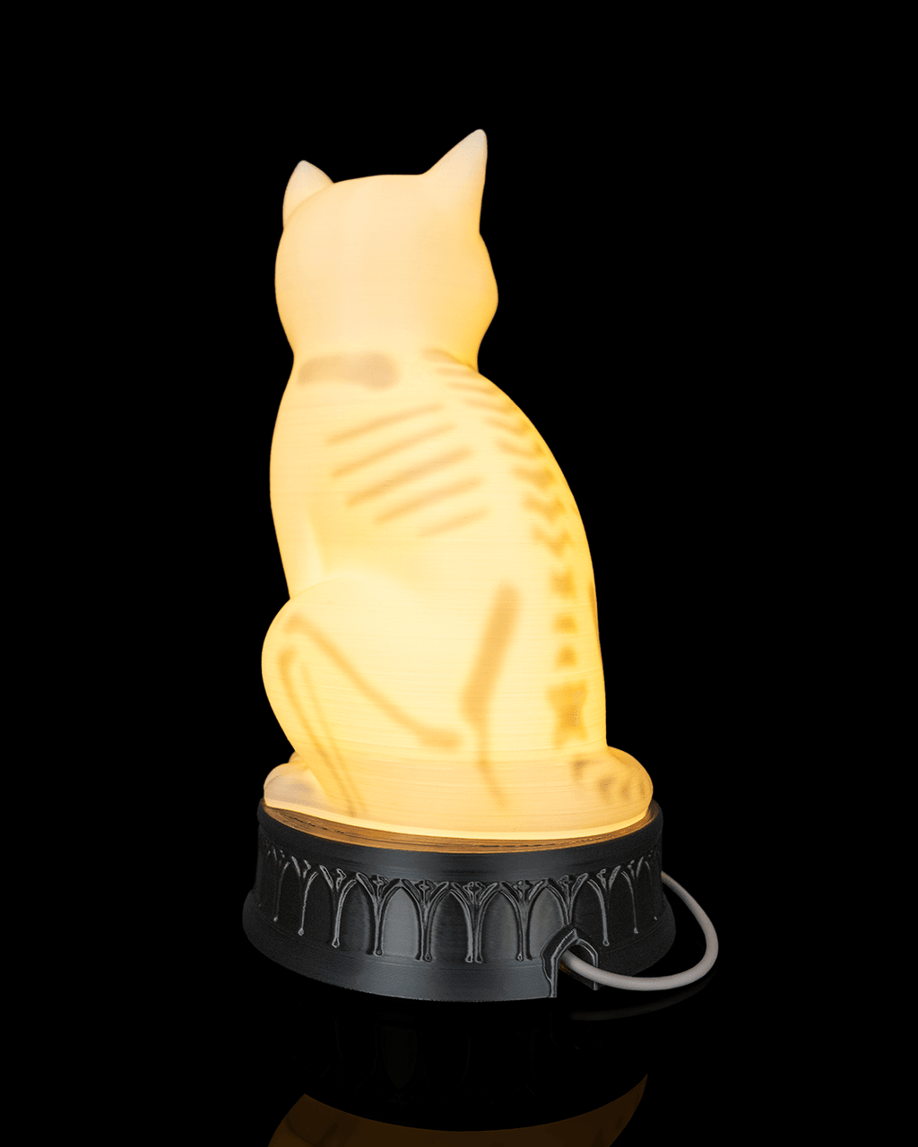 Rear three-quarter view of the illuminated cat lamp with its skeleton and USB cable visible