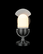 Broadcast microphone lamp illuminated, rear view