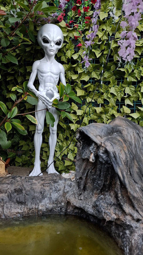 Silver-gray alien statue displayed among green leaves and flowers beside a rock pond