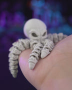 Skeleton Octopus
