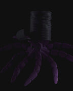 Gus the Octopus