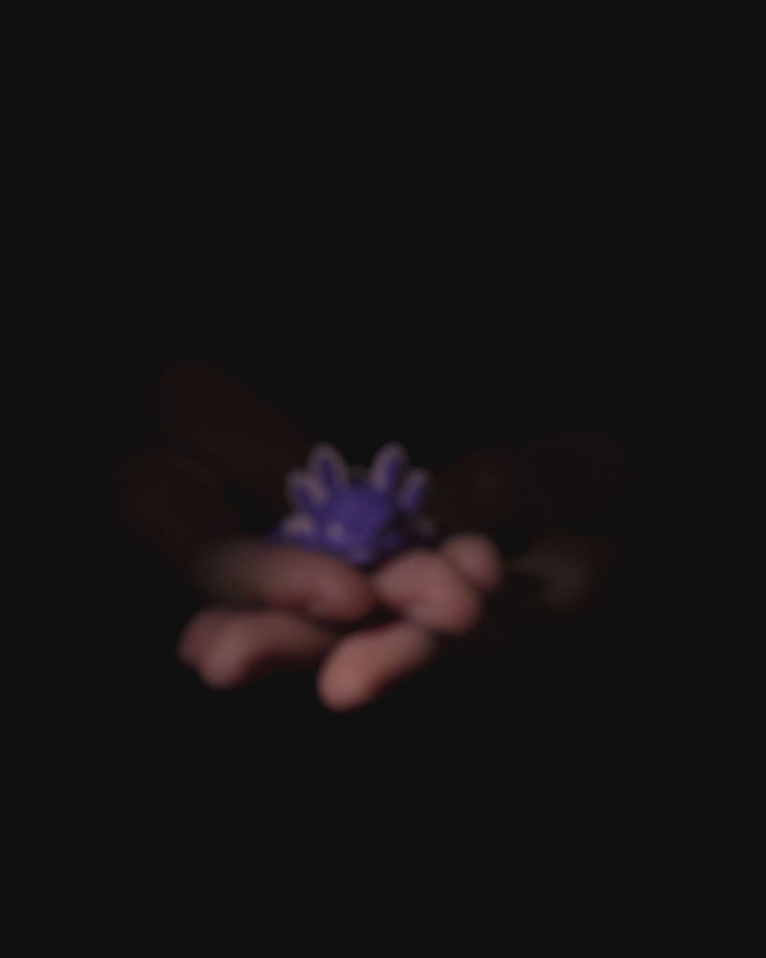 🖤 Baby Velvet Axolotl 🖤