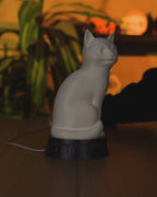Video demonstration of the X-Ray Cat lamp and its hidden skeleton lighting effect