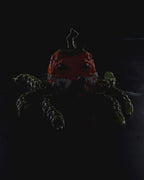 Pump-Kraken