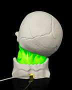 Rear view of the white Toxic Skull Lamp with glowing green center and a power cable exiting the base.